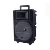 اسپیکر ویکو WeS-100 Singel 12 inch