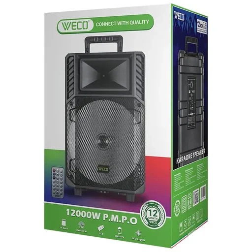 اسپیکر ویکو WeS-100 Singel 12 inch